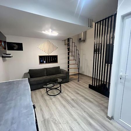 Maison Appartement Triplex Avec Jacuzzi Et Sauna 圣艾蒂安 外观 照片