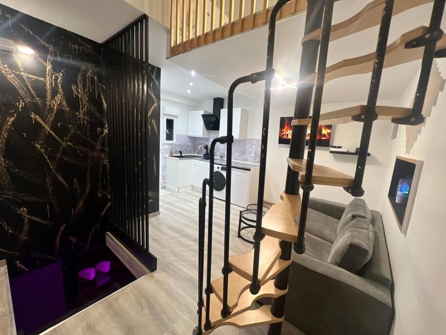 Maison Appartement Triplex Avec Jacuzzi Et Sauna 圣艾蒂安 外观 照片