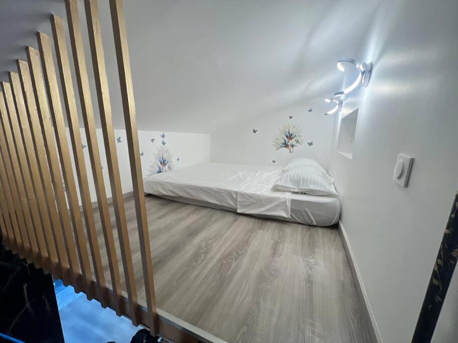Maison Appartement Triplex Avec Jacuzzi Et Sauna 圣艾蒂安 外观 照片